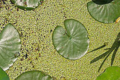 高能电玩节：解密新作《秘馆疑踪2》新宣传片公开